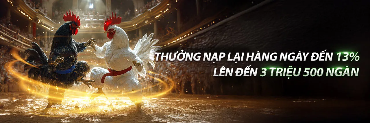Hình ảnh chính về đăng nhập Bet169 an toàn